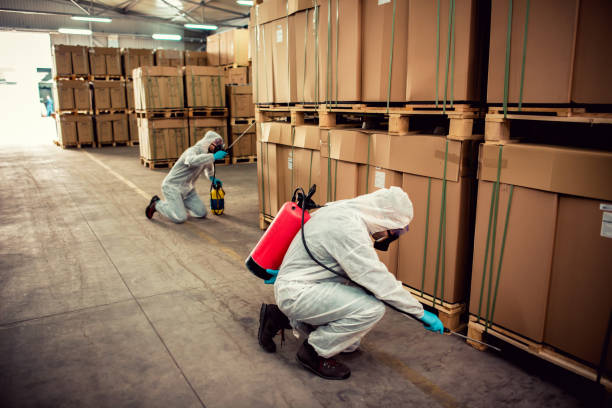 Best Best Pest Control Companies  in Vandergrift, PA
