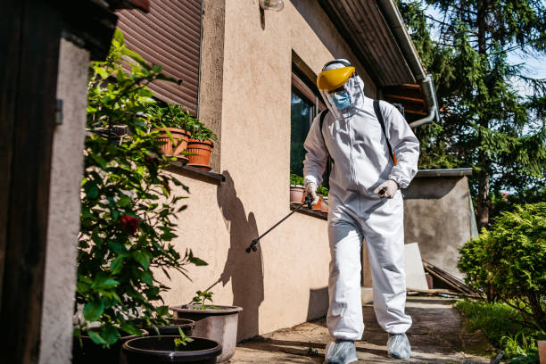 Best Termite Control Services  in Vandergrift, PA