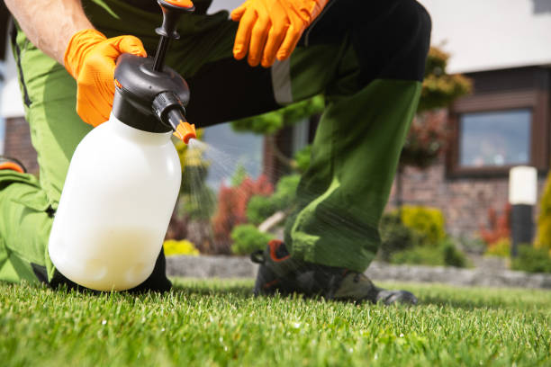 Best Commercial Pest Control Services  in Vandergrift, PA