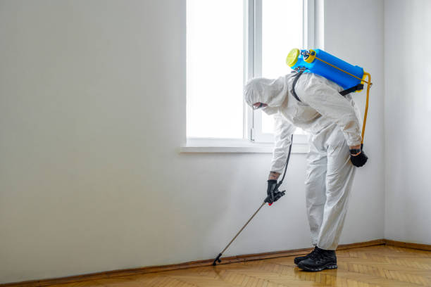 Best Wasp Removal Services  in Vandergrift, PA