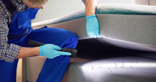 Best Pest Control Near Me  in Vandergrift, PA