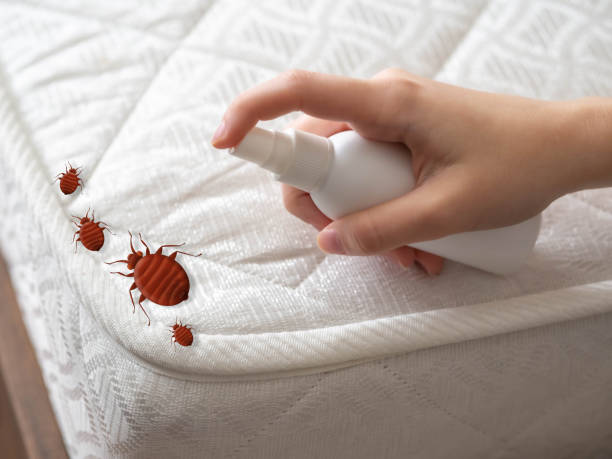 Vandergrift, PA Pest Control Company