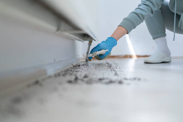 Best Pest Control for Homes  in Vandergrift, PA