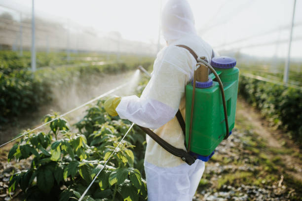 Best Mosquito Control Services  in Vandergrift, PA